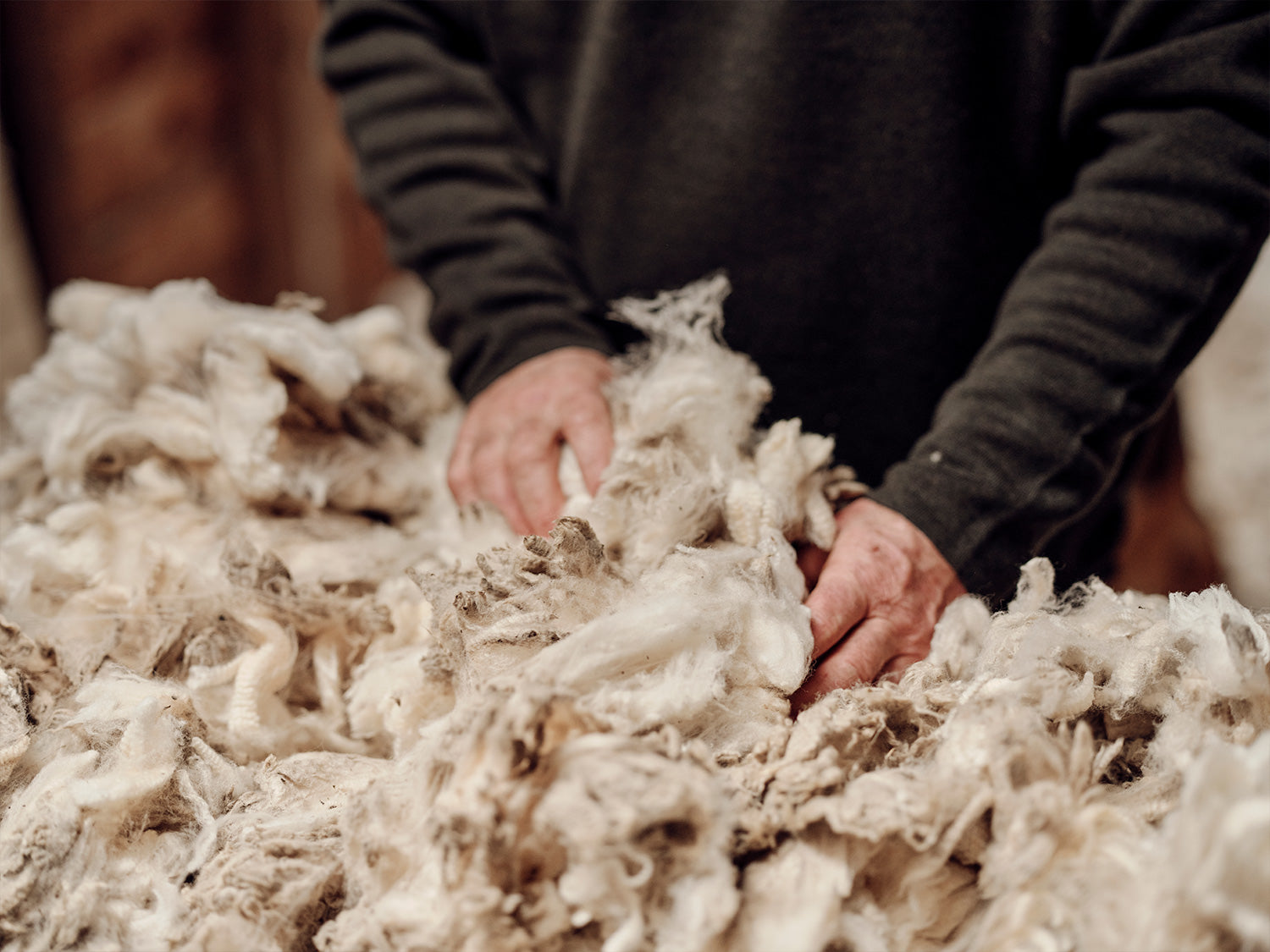 merino_wool