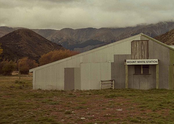 mt_white_station_blog